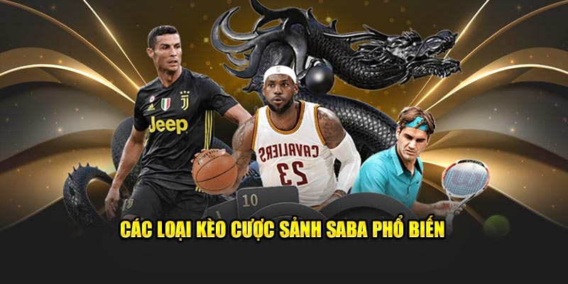 Sảnh Saba KUBET Và Đôi Nét Về Các Môn Thể Thao Tại Đây 4 Các loại kèo cược sảnh Saba phổ biến